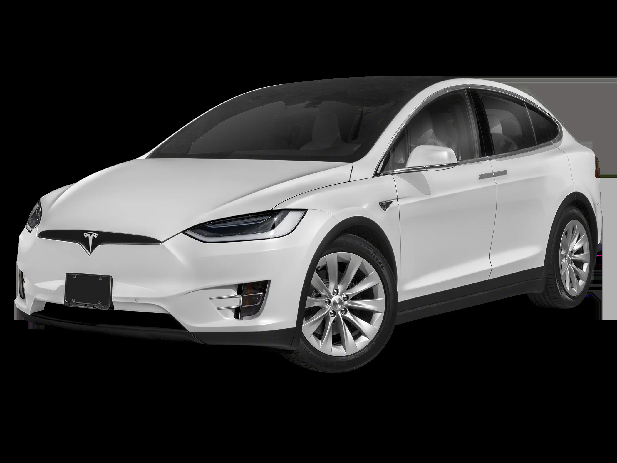 Tesla Model X 100D - Photo 1
